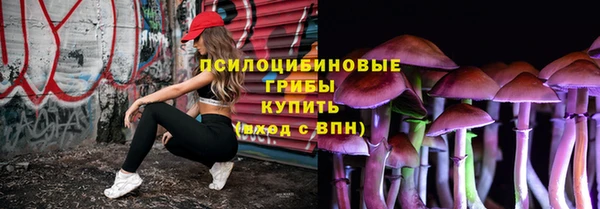 мескалин Алексин