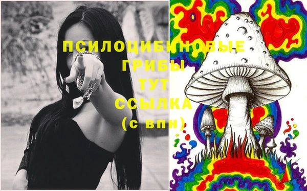 спиды Заволжье