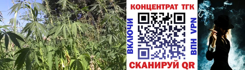 Дистиллят ТГК вейп  Катав-Ивановск 